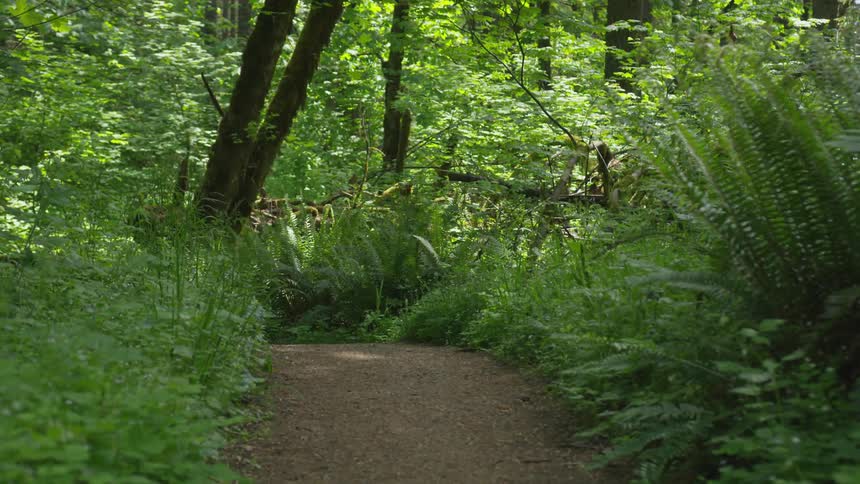 Photographer Hiking In Nature