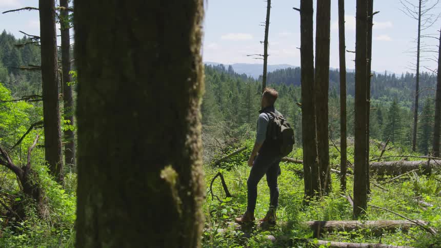 Photographer Hiking In Nature