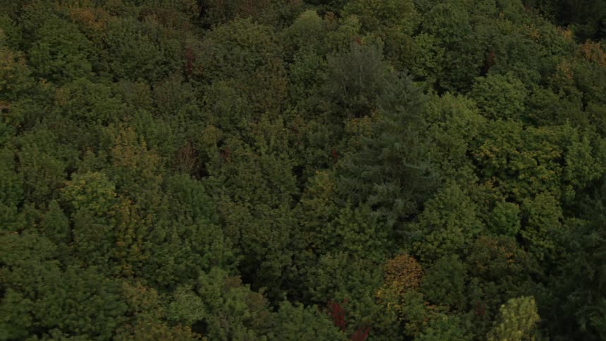 Pacific Northwest Aerials