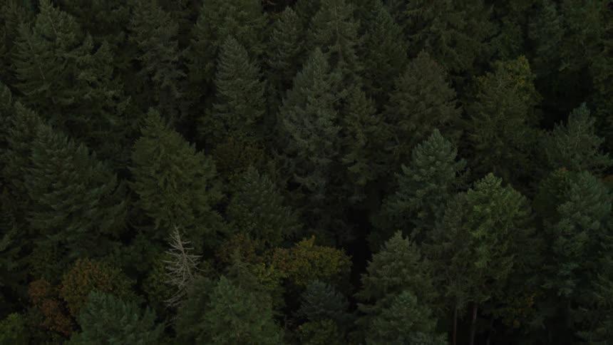 Pacific Northwest Aerials