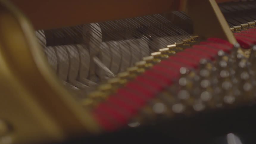 Musicians Playing