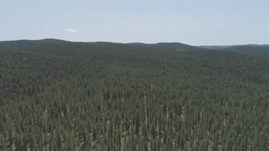 Pacific Northwest Aerials
