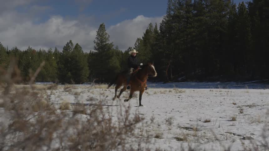 People Riding Horses In Snow