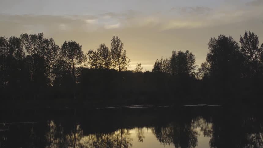 Pond At Sunset