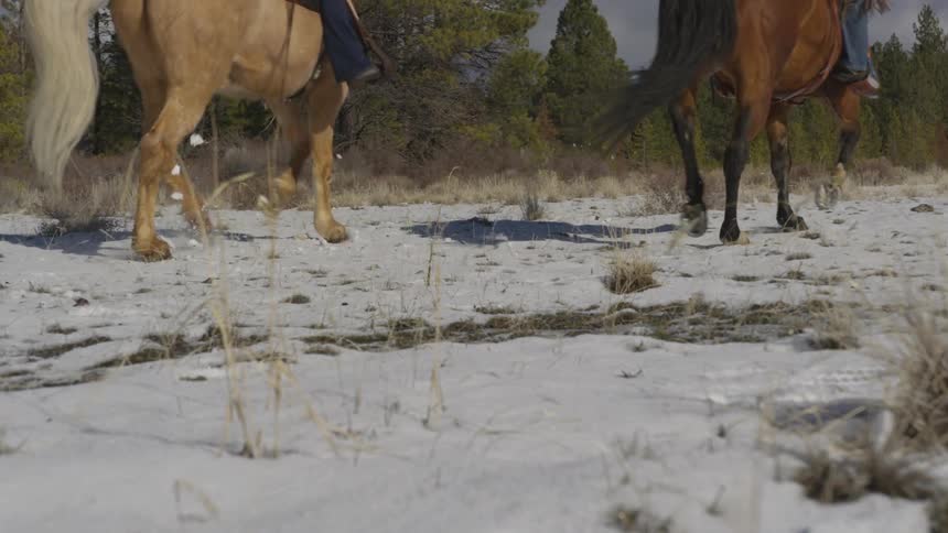 People Riding Horses In Snow