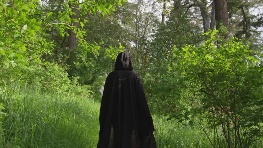 Person In Black Robe Walking Through Forest