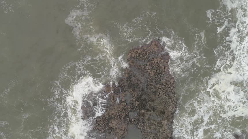 Overcast Coastline Scenics