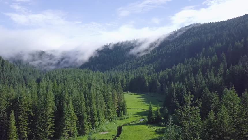 Pacific Northwest Aerials