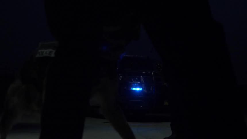 Police Officers