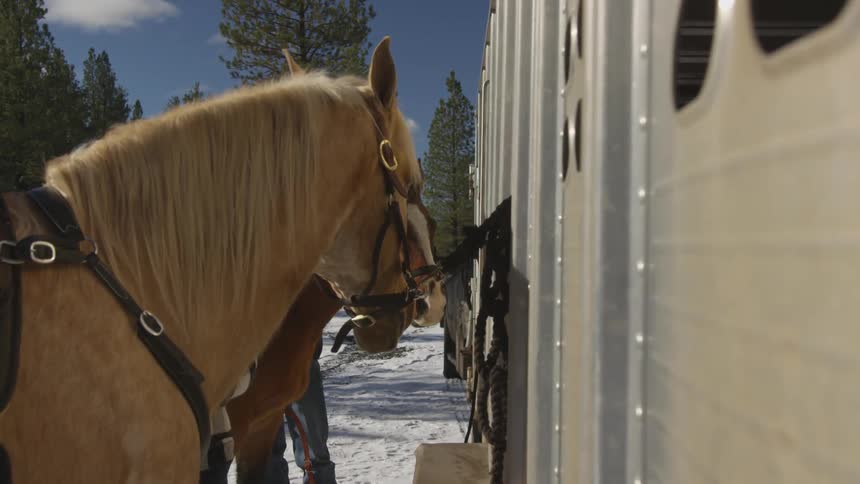 People Riding Horses In Snow