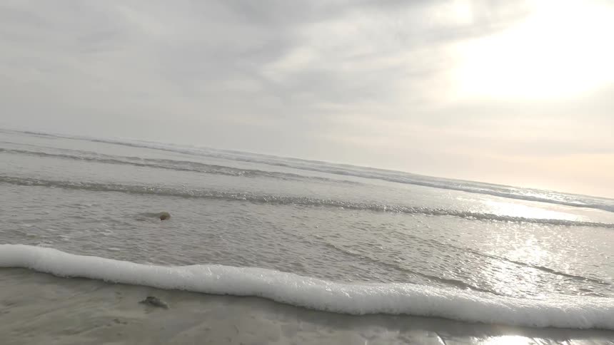 People On The Beach
