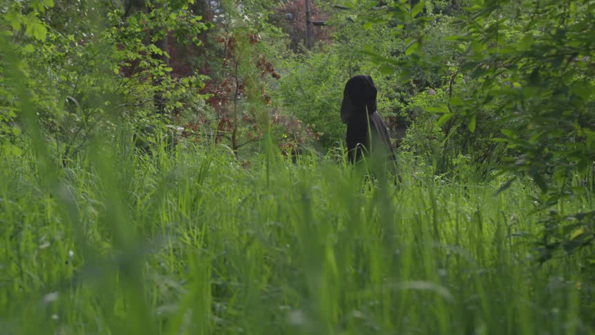 Person In Black Robe Walking Through Forest