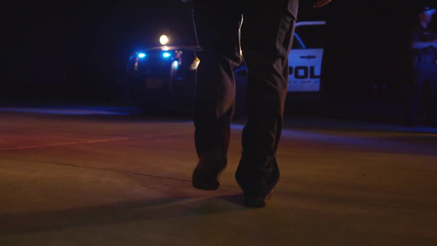 Police Officers
