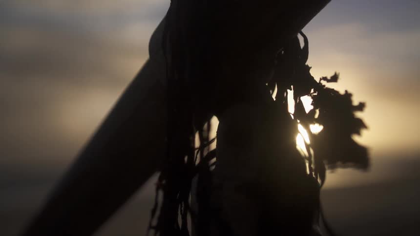 Something hanging from wood