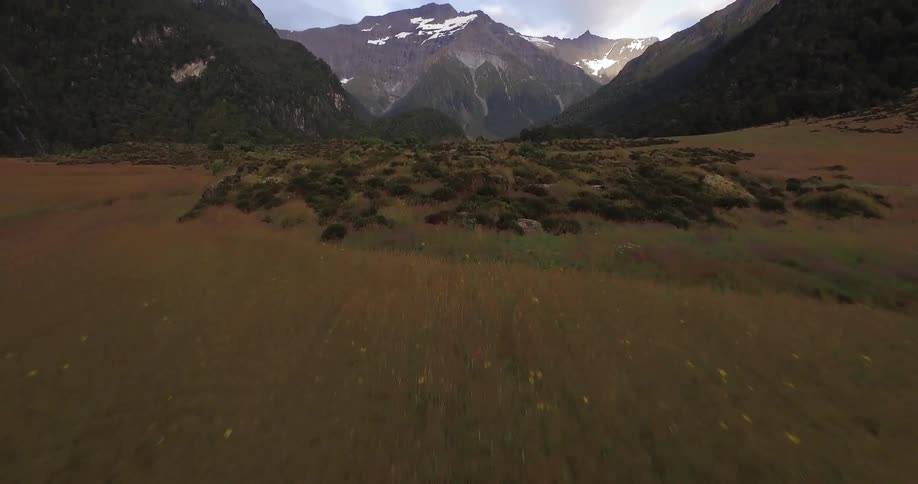 A field leading up to a snow capped mountain