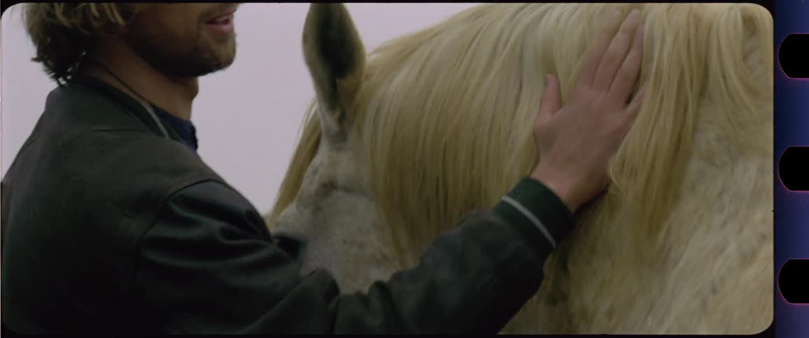 Man petting a white horse and a brown horse