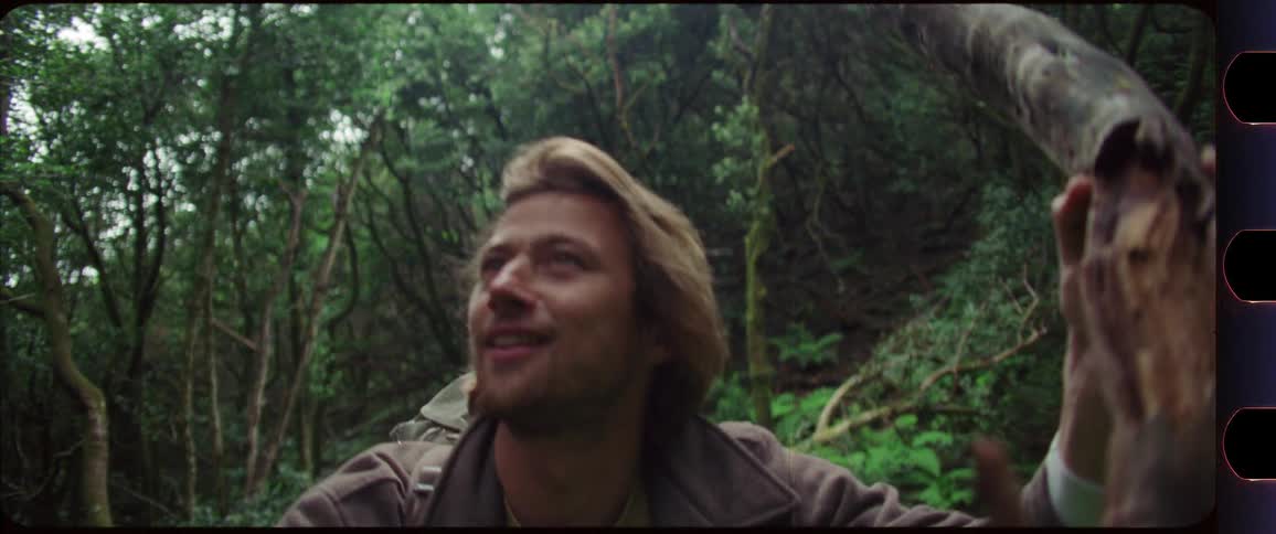 Man looking up while hiking through the forest