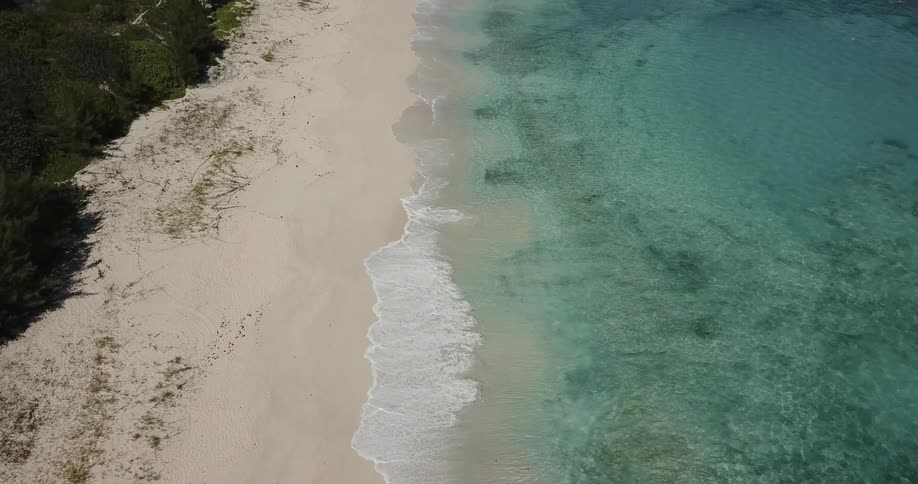 Bermuda Scenics