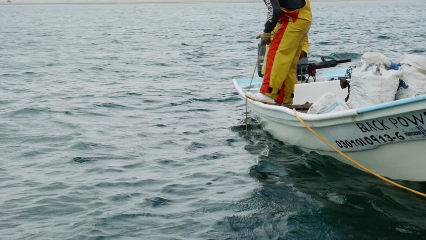 Baja Fishermen