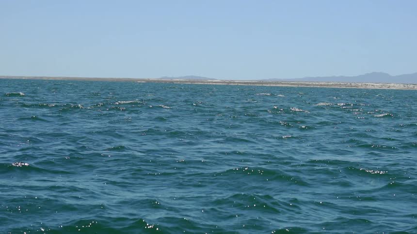 Baja Fishermen