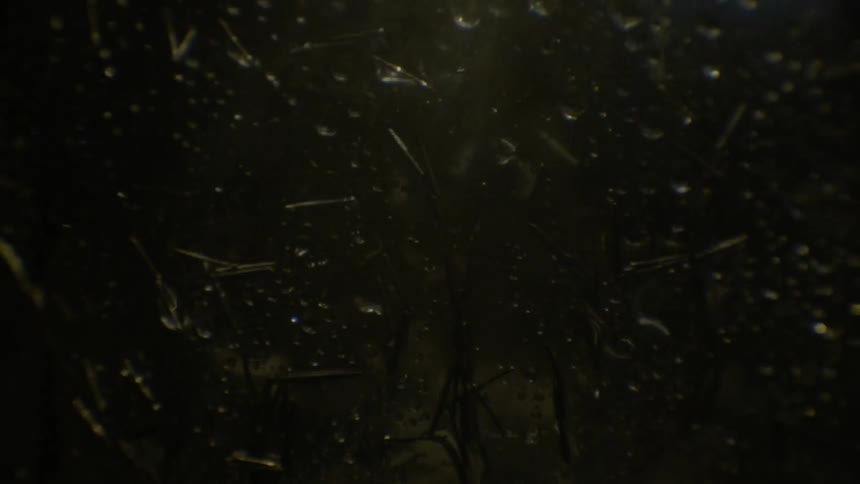 Abstract Substances