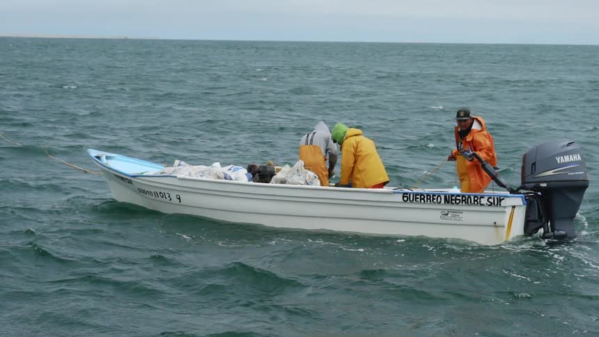 Baja Fishermen