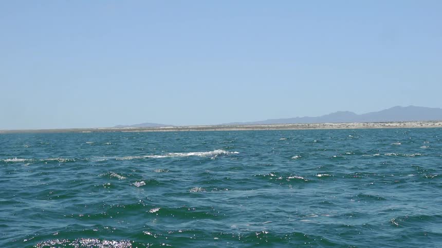 Baja Fishermen