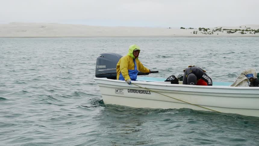 Baja Fishermen