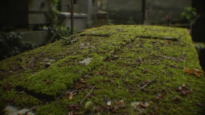 Cemetery