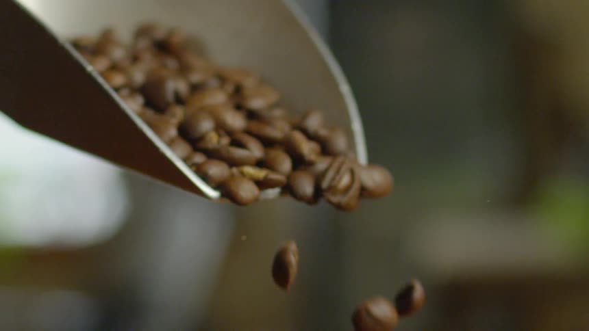 Coffee Roastery