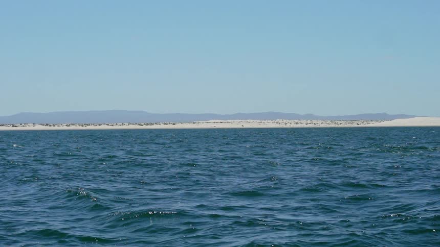 Baja Fishermen