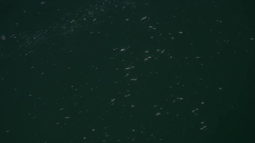 Baja Fishermen