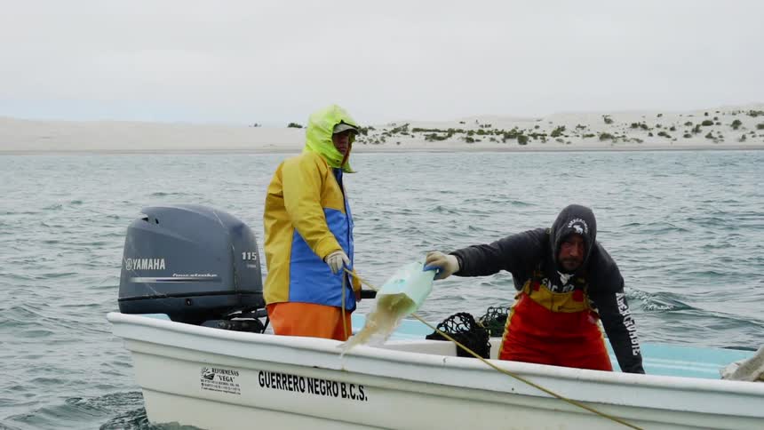 Baja Fishermen
