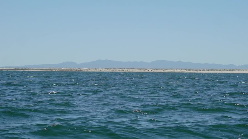 Baja Fishermen