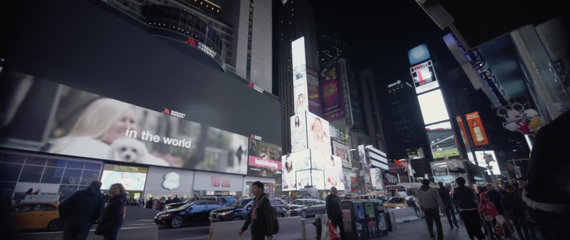 New York City Scenics