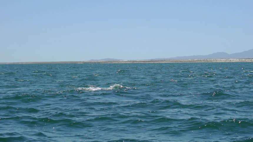 Baja Fishermen