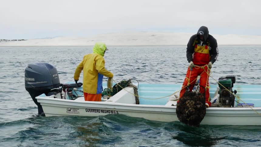 Baja Fishermen
