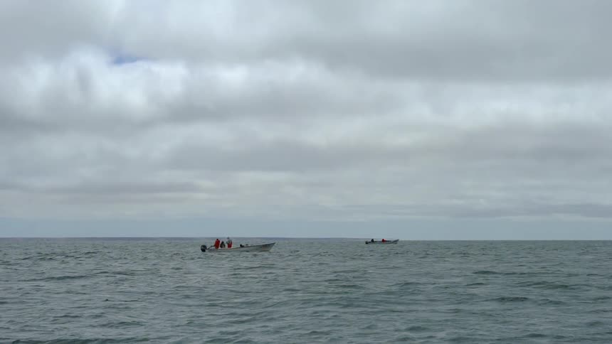 Baja Fishermen