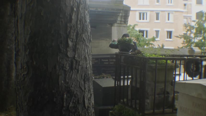 Cemetery