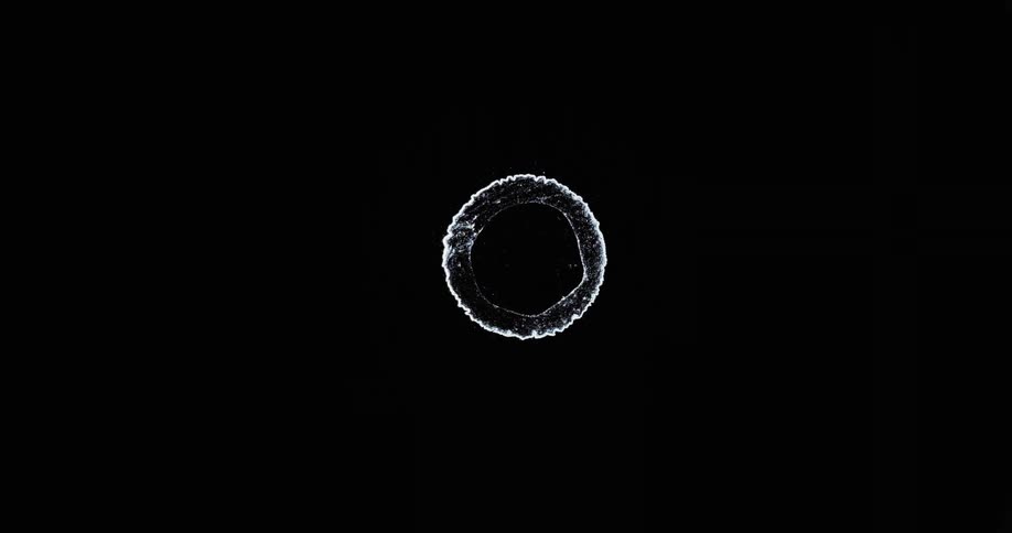Chemical reaction of silver ink in black dye