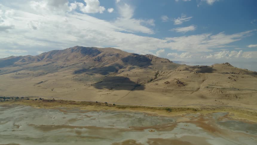 Buffalo Antelope Island