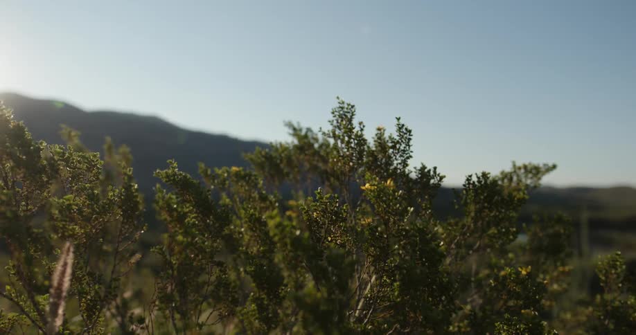 Big Bend Scenics