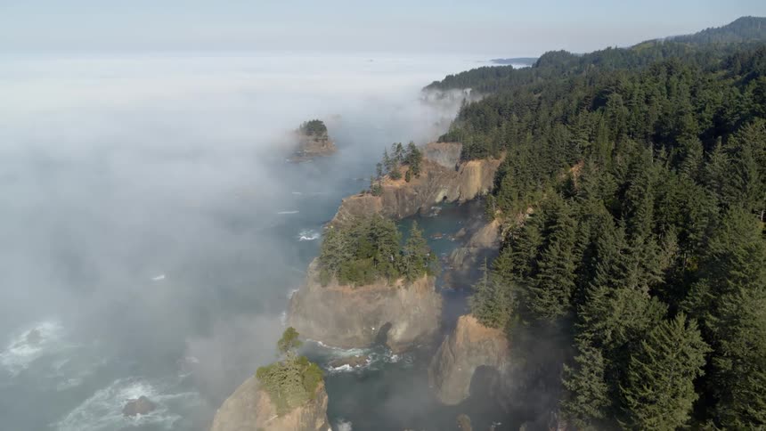 Oregon Coastline