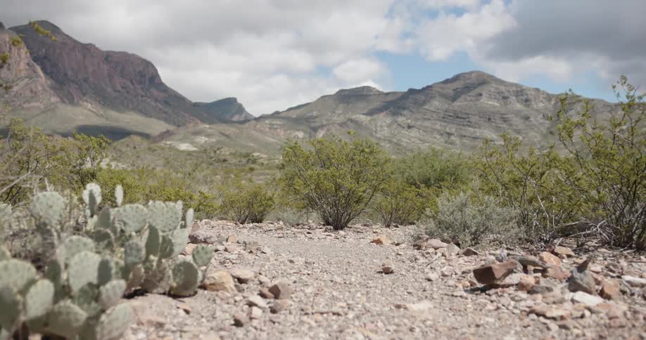 Big Bend Scenics