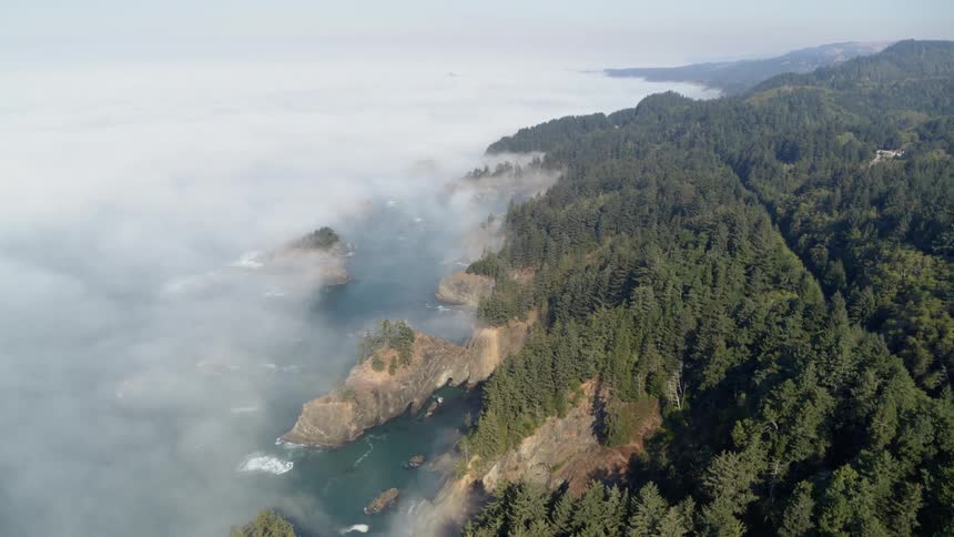 Oregon Coastline