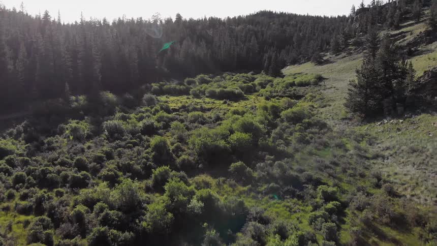 Colorado Trail Aerials