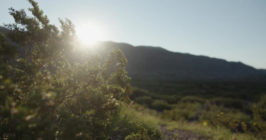 Big Bend Scenics