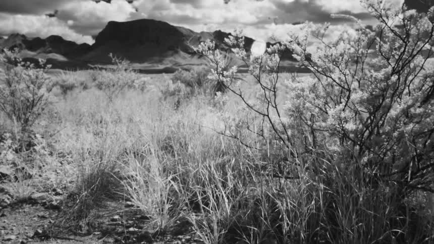 Big Bend Infrared
