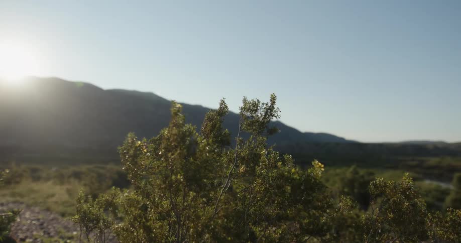 Big Bend Scenics