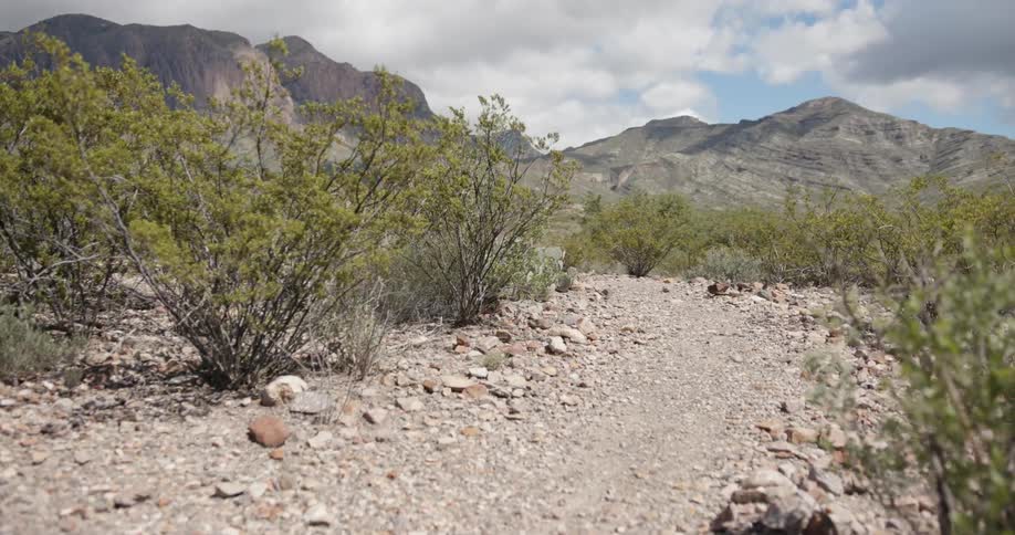 Big Bend Scenics